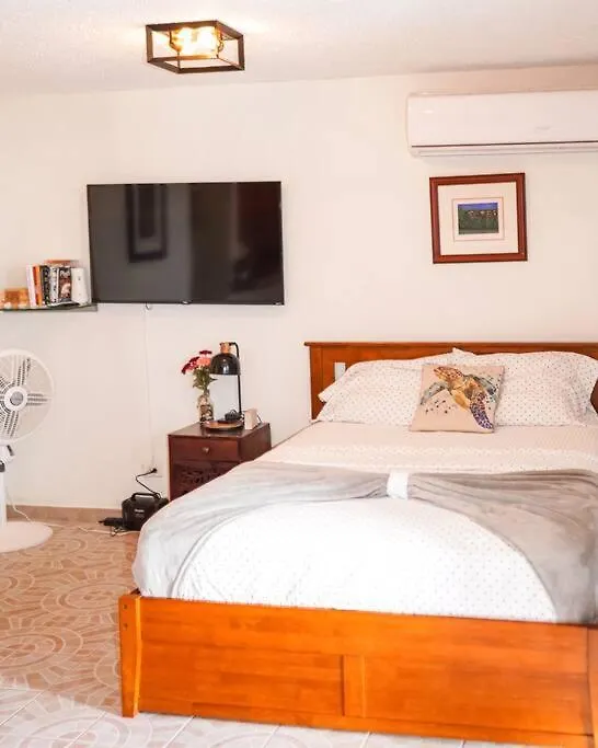 Ocean View Yuke Studio Luquillo Apartamento