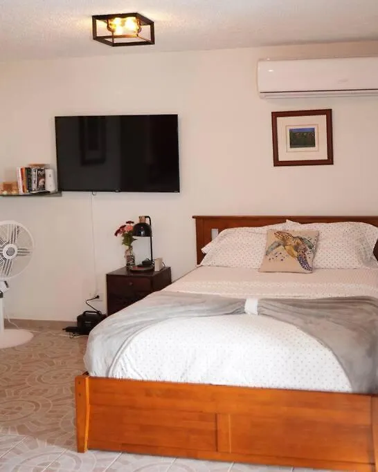 Ocean View Yuke Studio Luquillo