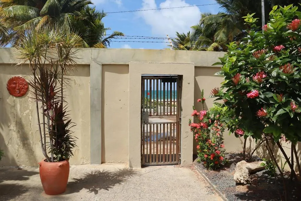 Ocean View Yuke Studio Luquillo 0*,